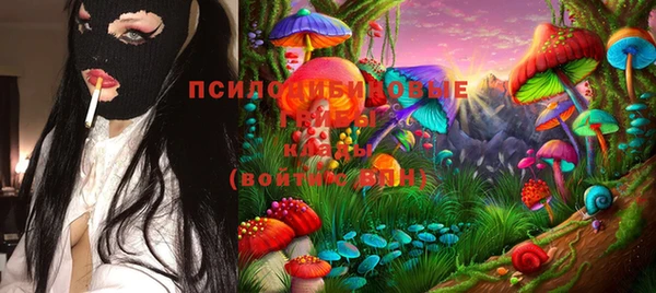 тгк Кодинск